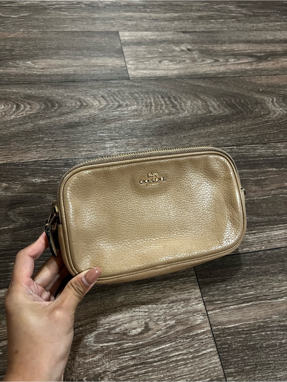 Coach Pebbled Leather Pouch or Clutch Double Zipper in Beige / Tan